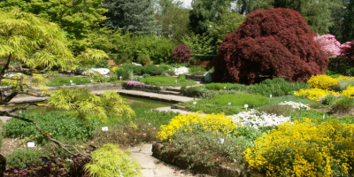 Botanischer Garten